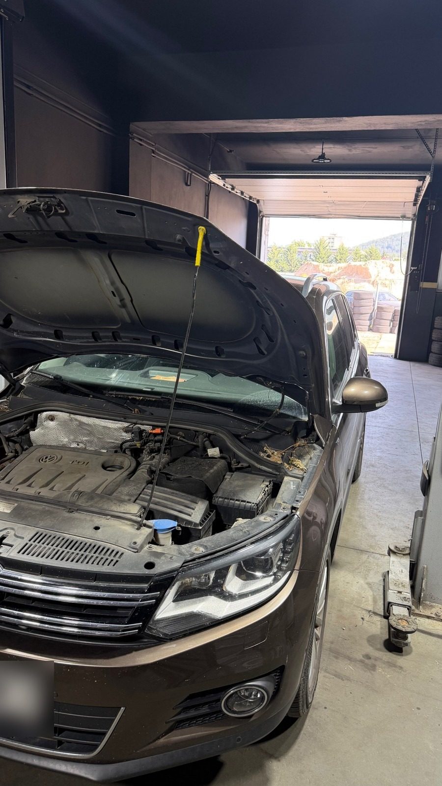 Servis motora